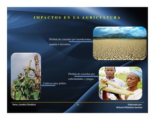 I M P A C T O S E N L A A G R I C U L T U R A
Pérdida de cosechas por inundaciones,
sequías e incendios.
Pérdida de cosechas por
enfermedades y plagas.
Cultivos muy pobres
Tema: Cambio Climático 11 Elaborado por:
Richard Villalobos Sanchez
 