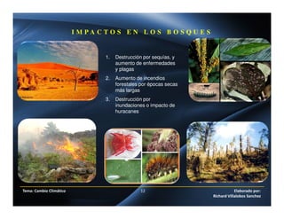 1. Destrucción por sequías, y
aumento de enfermedades
y plagas
2. Aumento de incendios
forestales por épocas secas
más largas
3. Destrucción por
inundaciones o impacto de
huracanes
I M P A C T O S E N L O S B O S Q U E S
Tema: Cambio Climático 12 Elaborado por:
Richard Villalobos Sanchez
 