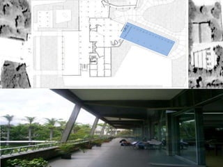 Ucv Biblioteca Central