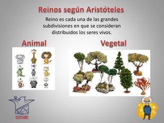 Reino es cada una de las grandes
subdivisiones en que se consideran
distribuidos los seres vivos.
 