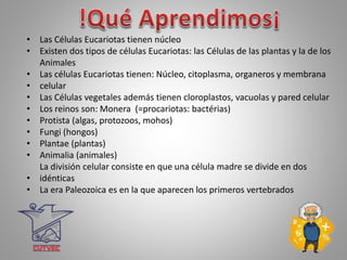 • Las Células Eucariotas tienen núcleo
• Existen dos tipos de células Eucariotas: las Células de las plantas y la de los
Animales
• Las células Eucariotas tienen: Núcleo, citoplasma, organeros y membrana
• celular
• Las Células vegetales además tienen cloroplastos, vacuolas y pared celular
• Los reinos son: Monera (=procariotas: bactérias)
• Protista (algas, protozoos, mohos)
• Fungi (hongos)
• Plantae (plantas)
• Animalia (animales)
La división celular consiste en que una célula madre se divide en dos
• idénticas
• La era Paleozoica es en la que aparecen los primeros vertebrados
 
