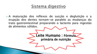  A maturação dos reflexos de sucção e deglutição e a
erupção dos dentes tornam-se paralelo as mudanças do
trato gastrointestinal preparando o lactente para ingestão
de alimentos sólidos.
Leite Humano : Fórmula
primária de nutrição
 