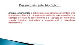  Alterações hormonais: a estimulação nas gônadas apresentam uma
produção e a liberação de espermatozoides no sexo masculino e a
liberação do óvulo no sexo feminino e a secreção dos hormônios
sexuais femininos (estrogênio e progesterona) e masculinos
(testosterona)
 