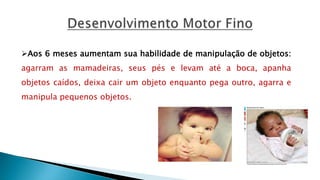 Aos 6 meses aumentam sua habilidade de manipulação de objetos:
agarram as mamadeiras, seus pés e levam até a boca, apanha
objetos caídos, deixa cair um objeto enquanto pega outro, agarra e
manipula pequenos objetos.
 