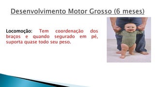 Locomoção: Tem coordenação dos
braços e quando segurado em pé,
suporta quase todo seu peso.
 