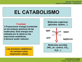 Biología. 2º bachillerato
                                             Unidad 10. Metabolismo I. Catabolismo




         ...
