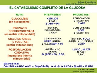 Biología. 2º bachillerato
                                                   Unidad 10. Metabolismo I. Catabolismo

    EL...