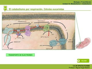 Biología. 2º bachillerato
                                                Unidad 10. Metabolismo I. Catabolismo


El catab...