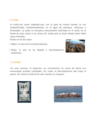 2.3TURBA

 La turba son restos vegetales que, con el paso de mucho tiempo, se van
 carbonificando, fundamentalmente en el agua de pantanos, marismas y
 humedales. La turba se encuentra naturalmente enterrada en el suelo, en el
 fondo de estas zonas o en, (minas de turba) que se sitúan donde antes había
 zonas húmedas.
 Puede ser de dos tipos:

• Negra: la cual está muy descompuesta.


• Rubia:   la   cual   no   ha   llegado   a   descomponerse
  totalmente.



 2.4.GUANO


 Las aves marinas, al depositar sus excrementos en zonas de litoral van
 acumulando grandes cantidades, los cuales al descomponerse dan lugar al
 guano. Por tanto el estiércol de aves marinas es el guano.
 