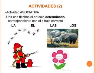 ACTIVIDADES (2)
-Actividad ASOCIATIVA
-Unir con flechas el artículo determinado
correspondiente con el dibujo correcto
LA
EL
LAS

LOS

 
