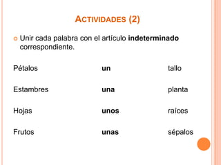 ACTIVIDADES (2)


Unir cada palabra con el artículo indeterminado
correspondiente.

Pétalos

un

tallo

Estambres

una

planta

Hojas

unos

raíces

Frutos

unas

sépalos

 
