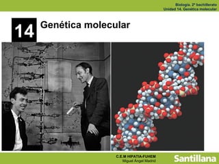 Biología. 2º bachillerato
                                             Unidad 14. Genética molecular



     Genética molecular
14




                    C.E.M HIPATIA-FUHEM
                       Miguel Ángel Madrid
 