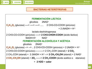 INICIO ESQUEMA RECURSOS
Biología
Los microorganismos
SALIR ANTERIOR
FERMENTACIÓN LÁCTICA
glicolisis 2NAD+
C6H12O6 (glucosa...