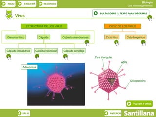 INICIO ESQUEMA RECURSOS
Biología
Los microorganismos
SALIR ANTERIOR
Virus
VOLVER A VIRUS
ESTRUCTURA DE LOS VIRUS CICLO DE ...