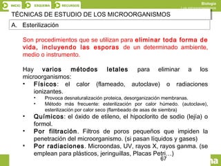 INICIO ESQUEMA RECURSOS
Biología
Los microorganismos
SALIR ANTERIOR
TÉCNICAS DE ESTUDIO DE LOS MICROORGANISMOSTÉCNICAS DE ...