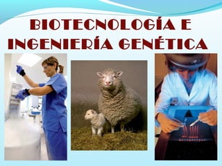BIOTECNOLOGÍA E
INGENIERÍA GENÉTICA
 