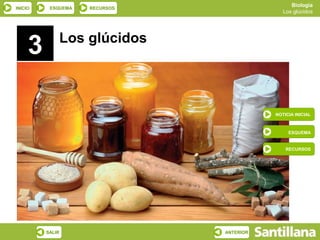 Biología
INICIO    ESQUEMA   RECURSOS
                                             Los glúcidos




             Los glúci...