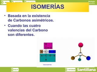 Biología
INICIO    ESQUEMA   RECURSOS
                                               Los glúcidos

                        ISOMERÍAS
• Basada en la existencia
  de Carbonos asimétricos.
• Cuando las cuatro
  valencias del Carbono
  son diferentes.




         SALIR                      ANTERIOR
 