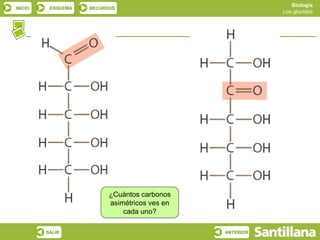 Biología
INICIO       ESQUEMA    RECURSOS
                                                              Los glúcidos



         Los glúcidos




                              ¿Cuántos carbonos
                              asimétricos ves en
                                  cada uno?

            SALIR                                  ANTERIOR
 
