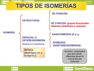 Biología
 INICIO    ESQUEMA       RECURSOS
                                                                             Los glúcidos

             TIPOS DE ISOMERÍAS
                                                DE POSICIÓN.

                     ESTRUCTURAL
                                                DE FUNCIÓN: grupos funcionales
                                                distintos (aldehídos y cetonas)

ISOMERÍA
                                                ENANTIÓMEROS (D y L)
                     ESPACIAL O
                     ESTEREOISOMERÍA
                                                 EPÍMEROS
                     (Basada en C asimétrico)
                                                 (DIASTEREOISÓMEROS)
                       ÓPTICA
                                                          Isomería: compuestos
                       (dextrógiro (+) y                      que aún siendo
                       levógiro(-))                         diferentes tienen la
                                                               misma fórmula
                                                                 molecular


          SALIR                                             ANTERIOR
 