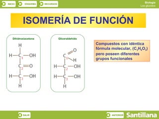 Biología
INICIO      ESQUEMA    RECURSOS
                                                                          Los glúcidos




           ISOMERÍA DE FUNCIÓN
    Dihidroxiacetona              Gliceraldehído

                                                   Compuestos con idéntica
                                                   fórmula molecular, (C3H6O3)
                                                   pero poseen diferentes
                                                   grupos funcionales




           SALIR                                           ANTERIOR
 
