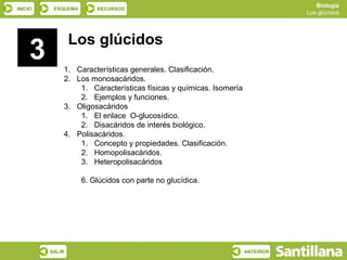 Biología
INICIO    ESQUEMA       RECURSOS
                                                                              Los glúcidos




                 Los glúcidos
     3       1. Características generales. Clasificación.
             2. Los monosacáridos.
                 1. Características físicas y químicas. Isomería
                 2. Ejemplos y funciones.
             3. Oligosacáridos
                 1. El enlace O-glucosídico.
                 2. Disacáridos de interés biológico.
             4. Polisacáridos.
                 1. Concepto y propiedades. Clasificación.
                 2. Homopolisacáridos.
                 3. Heteropolisacáridos

                    6. Glúcidos con parte no glucídica.




         SALIR                                                     ANTERIOR
 