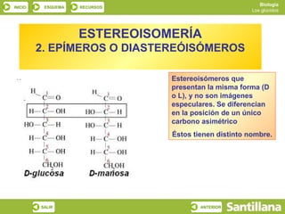 Biología
INICIO    ESQUEMA   RECURSOS
                                                      Los glúcidos




                    ESTEREOISOMERÍA
         2. EPÍMEROS O DIASTEREÓISÓMEROS

                               Estereoisómeros que
                               presentan la misma forma (D
                               o L), y no son imágenes
                               especulares. Se diferencian
                               en la posición de un único
                               carbono asimétrico
                               Éstos tienen distinto nombre.




         SALIR                         ANTERIOR
 