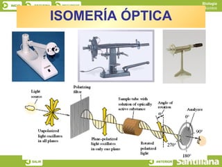Biología
INICIO    ESQUEMA   RECURSOS
                                          Los glúcidos

                 ISOMERÍA ÓPTICA




         SALIR                 ANTERIOR
 