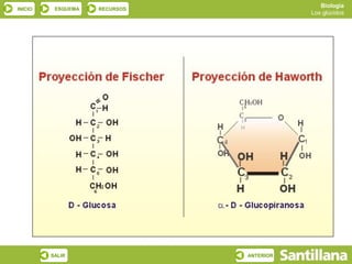 Biología
INICIO    ESQUEMA   RECURSOS
                                          Los glúcidos




         SALIR                 ANTERIOR
 