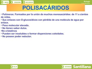 Biología
   INICIO    ESQUEMA   RECURSOS
                                                                     Los glúcidos


                       POLISACÁRIDOS
• Polímeros: Formados por la unión de muchos monosacáridos: de 11 a cientos
de miles.
• Sus enlaces son O-glucosídicos con pérdida de una molécula de agua por
enlace.
• Peso molecular elevado.
• No tienen sabor dulce.
•No cristalinos
• Pueden ser insolubles o formar dispersiones coloidales.
• No poseen poder reductor.




            SALIR                                     ANTERIOR
 