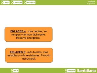 Biología
INICIO      ESQUEMA   RECURSOS
                                                     Los glúcidos




         ENLACES α: más débiles, se
          rompen y forman fácilmente.
             Reserva energética.




      ENLACES β: más fuertes, más
    estables y más resistentes. Función
                estructural.



           SALIR                          ANTERIOR
 