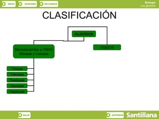 Biología
INICIO        ESQUEMA   RECURSOS
                                                              Los glúcidos



                        CLASIFICACIÓN
                                   GLÚCIDOS


                                              ÓSIDOS
         Monosacáridos u OSAS
           Aldosas y Cetosas



   Triosas
  Tetrosas
 Pentosas
  Hexosas
 Heptosas




             SALIR                                 ANTERIOR
 