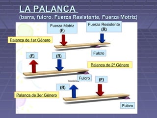 LA PALANCALA PALANCA
(barra, fulcro, Fuerza Resistente, Fuerza Motriz)(barra, fulcro, Fuerza Resistente, Fuerza Motriz)
Fuerza Resistente
(R)
Fulcro
Fuerza Motriz
(F)
Palanca de 1er Género
Palanca de 2º Género
Fulcro
(R)(F)
(F)
(R)
Palanca de 3er Género
Fulcro
 