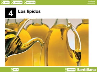 Biología
INICIO    ESQUEMA   RECURSOS
                                          Los lípidos




             Los lípidos
 ...