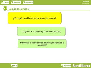 Biología
INICIO       ESQUEMA      RECURSOS
                                                                                  Los lípidos



         Los ácidos grasos



            ¿En     qué se diferencian unos de otros?




                       Longitud de la cadena (número de carbono)




                     Presencia o no de dobles enlaces (insaturados o
                                       saturados)




            SALIR                                                      ANTERIOR
 