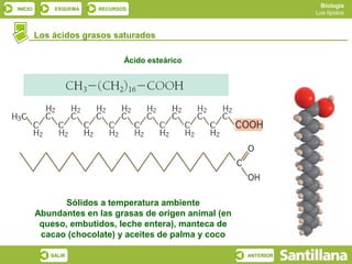 Biología
INICIO       ESQUEMA   RECURSOS
                                                                    Los lípidos



         Los ácidos grasos saturados

                              Ácido esteárico




                Sólidos a temperatura ambiente
         Abundantes en las grasas de origen animal (en
          queso, embutidos, leche entera), manteca de
          cacao (chocolate) y aceites de palma y coco

            SALIR                                        ANTERIOR
 