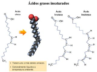 Biología
INICIO    ESQUEMA   RECURSOS
                                          Los lípidos




         SALIR                 ANTERIOR
 