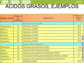 Biología
INICIO    ESQUEMA   RECURSOS
                                          Los lípidos


 ÁCIDOS GRASOS, EJEMPLOS

 .




         SALIR                 ANTERIOR
 
