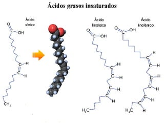 Biología
INICIO    ESQUEMA   RECURSOS
                                          Los lípidos




         SALIR                 ANTERIOR
 