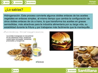Biología
INICIO    ESQUEMA     RECURSOS
                                                                               Los lípidos



¿Lo sabías?
Hidrogenación. Este proceso convierte algunos dobles enlaces de los aceites
vegetales en enlaces simples, al mismo tiempo que cambia la configuración de
otros dobles enlaces de cis a trans, lo que transforma los aceites en grasas
semisólidas, más atractivas para la industria alimentaria por su larga vida, su
estabilidad durante la fritura y por trabajarse más facilmente que la mantequilla




         SALIR                                               ANTERIOR
 