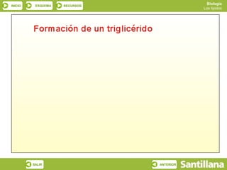 Biología
INICIO    ESQUEMA   RECURSOS
                                          Los lípidos




         SALIR                 ANTERIOR
 