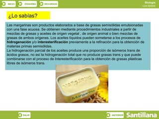 Biología
INICIO     ESQUEMA     RECURSOS
                                                                                    Los lípidos



¿Lo sabías?
Las margarinas son productos elaborados a base de grasas semisólidas emulsionadas
con una fase acuosa. Se obtienen mediante procedimientos industriales a partir de
mezclas de grasas y aceites de origen vegetal , de origen animal o bien mezclas de
grasas de ambos orígenes. Los aceites líquidos pueden someterse a los procesos de
hidrogenación y/o interesterificación previamente a la refinación para la obtención de
materias primas semisólidas.
La hidrogenación parcial de los aceites produce una proporción de isómeros trans de
ácidos grasos, no así la hidrogenación total que no produce grasas trans y que puede
combinarse con el proceso de Interesterificación para la obtención de grasas plásticas
libres de isómeros trans.




          SALIR                                                  ANTERIOR
 
