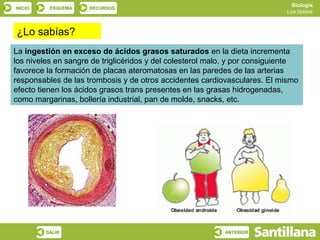 Biología
INICIO    ESQUEMA    RECURSOS
                                                                            Los lípidos



¿Lo sabías?
La ingestión en exceso de ácidos grasos saturados en la dieta incrementa
los niveles en sangre de triglicéridos y del colesterol malo, y por consiguiente
favorece la formación de placas ateromatosas en las paredes de las arterias
responsables de las trombosis y de otros accidentes cardiovasculares. El mismo
efecto tienen los ácidos grasos trans presentes en las grasas hidrogenadas,
como margarinas, bollería industrial, pan de molde, snacks, etc.




         SALIR                                             ANTERIOR
 