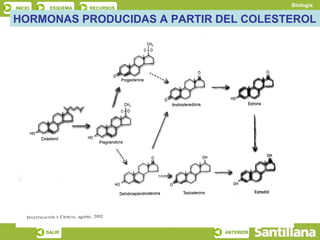 Biología
INICIO    ESQUEMA   RECURSOS
                                          Los lípidos
HORMONAS PRODUCIDAS A PARTIR DEL COLESTEROL




         SALIR                 ANTERIOR
 