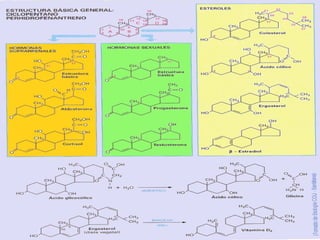 Biología
INICIO    ESQUEMA   RECURSOS
                                          Los lípidos




 .




         SALIR                 ANTERIOR
 