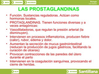 Biología
INICIO    ESQUEMA   RECURSOS
                                                          Los lípidos



             LAS PROSTAGLANDINAS
 • Función. Sustancias reguladoras. Actúan como
   hormonas locales.
 • PROTAGLANDINAS. Tienen funciones diversas y a
   veces antagónicas:
 • Vasodilatadoras, que regulan la presión arterial (la
   disminuyen).
 • Intervienen en procesos inflamatorios, producen fiebre
   (calor), rubor, edema y dolor.
 • Aumentan la secreción de mucus gastrointestinal
   (reducen la producción de jugos gástricos, facilitando la
   curación de úlceras)
 • Provocan contracciones de las paredes del útero
   durante el parto
 • Intervienen en la coagulación sanguínea, provocando el
   cierre de heridas.
         SALIR                              ANTERIOR
 