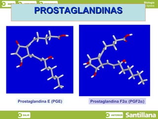Biología
INICIO      ESQUEMA   RECURSOS
                                                          Los lípidos

                   PROSTAGLANDINAS




         Prostaglandina E (PGE)   Prostaglandina F2α (PGF2α)


           SALIR                            ANTERIOR
 