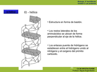 Biología. 2º bachillerato
                                         Unidad 5. Las proteínas




α-hélice



           • Es...