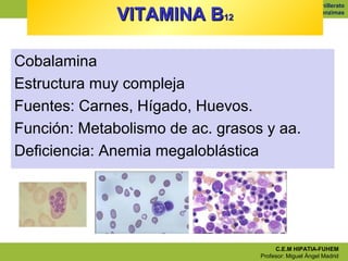Biología. 2º bachillerato

              VITAMINA B12             Unidad 5(2). Las enzimas




Cobalamina
Estructura muy c...