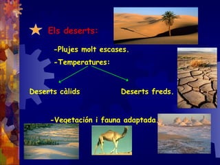 Els deserts:
-Plujes molt escases.
-Temperatures:
Deserts càlids Deserts freds.
-Vegetación i fauna adaptada.
 